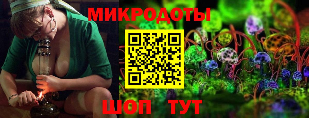 Бахчисарай  Галлюциногенные грибы прущие грибы  Вход с VPN  Галлюциногенные грибы Psilocybe 